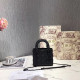 DIOR 디올 레이디 17CM D80891