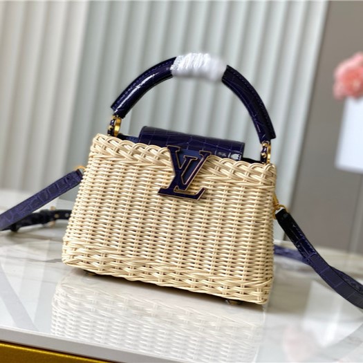 LOUIS VUITTON 루이비통 카푸신 미니 M48865 2SIZE